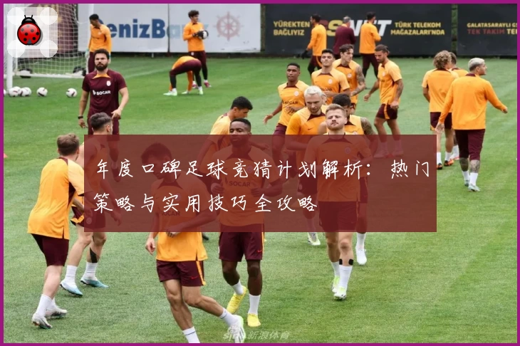 年度口碑足球竞猜计划解析：热门策略与实用技巧全攻略