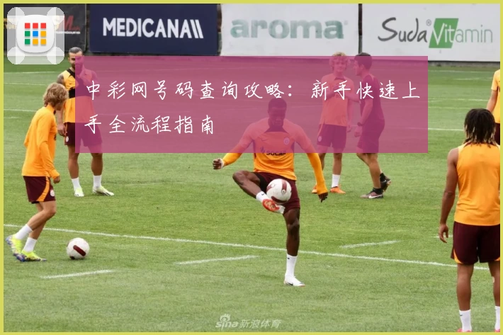 中彩网号码查询攻略：新手快速上手全流程指南