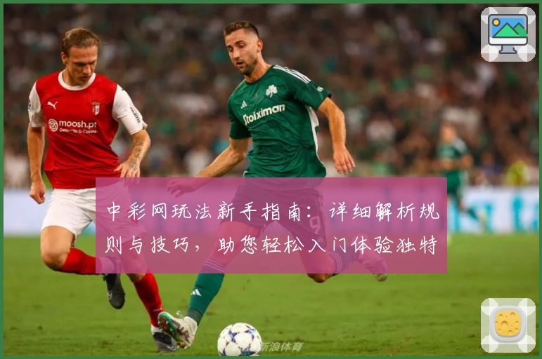 中彩网玩法新手指南:详细解析规则与技巧,助您轻松入门体验独特乐趣