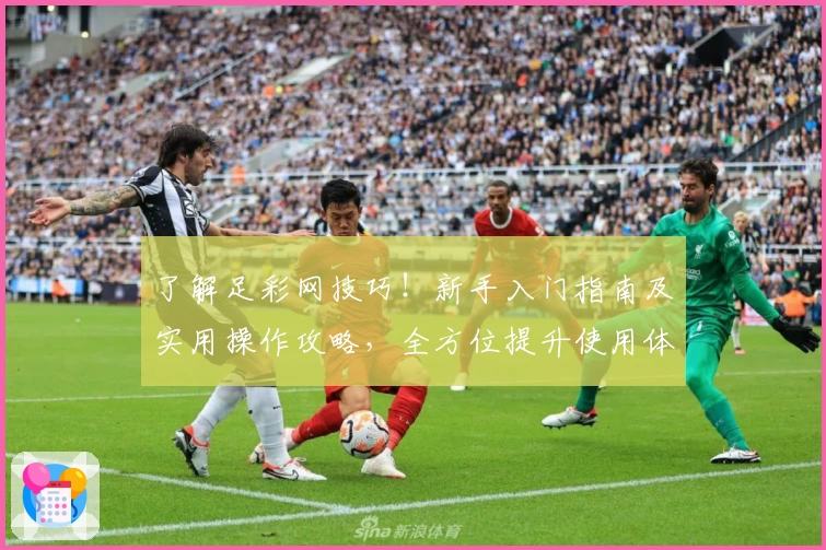 了解足彩网技巧！新手入门指南及实用操作攻略，全方位提升使用体验