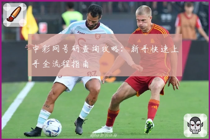 中彩网号码查询攻略：新手快速上手全流程指南