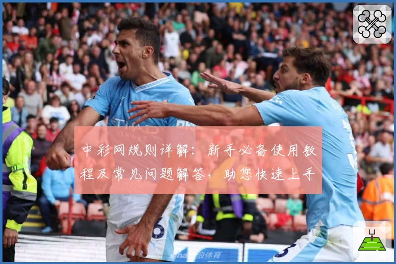中彩网规则详解：新手必备使用教程及常见问题解答，助您快速上手